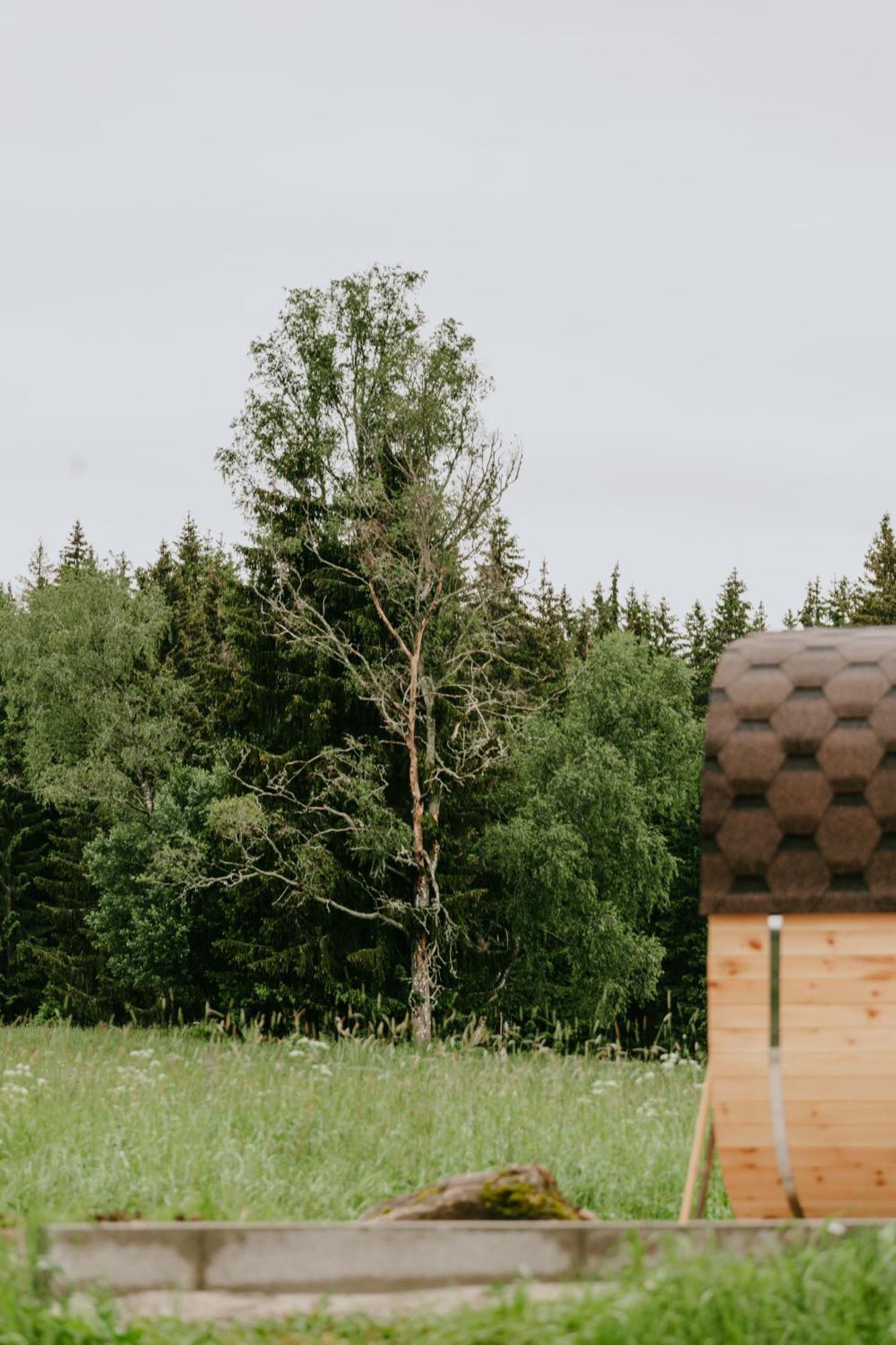 Polka Hébergement de vacances